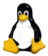 Linux icon