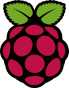 Raspberry Pi icon